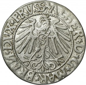 Duchy of Prussia, Albrecht Hohenzollern, Groschen Königsberg 1544 - PRVSS