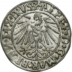 Duchy of Prussia, Albert Hohenzollern, Groschen Königsberg 1545 - PRVSS