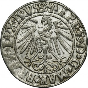 Duchy of Prussia, Albert Hohenzollern, Groschen Königsberg 1545 - PRVSS