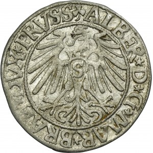 Duchy of Prussia, Albrecht Hohenzollern, Groschen Königsberg 1544 - PRVSS