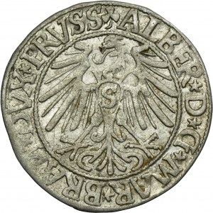 Duchy of Prussia, Albrecht Hohenzollern, Groschen Königsberg 1544 - PRVSS