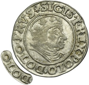Sigismund I the Old, Groschen Danzig 1539 - PRVS - VERY RARE, DOTO