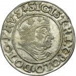 Sigismund I the Old, Groschen Danzig 1539 - PRVS - VERY RARE, DOTO