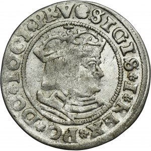 Sigismund I the Old, Groschen Thorn 1529 - PRV/PRVSS