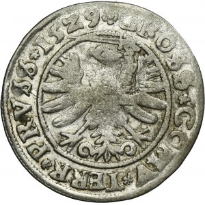 Sigismund I the Old, Groschen Thorn 1529 - PRV/PRVSS