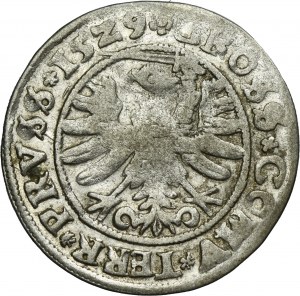 Sigismund I the Old, Groschen Thorn 1529 - PRV/PRVSS