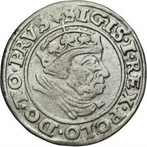 Zygmunt I Stary, Grosz Gdańsk 1539 - PRVS