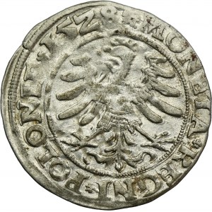 Sigismund I the Old, Groschen Krakau 1528