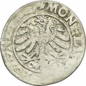 Sigismund I the Old, Groschen Krakau 1527
