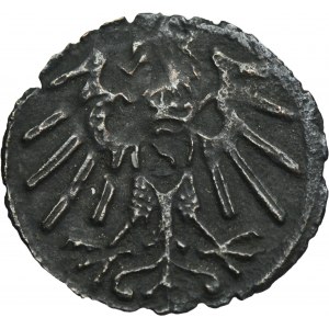 Duchy of Prussia, Albrecht Hohenzollern, Denarius Königsberg undated