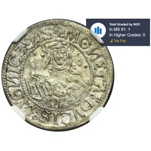 Silesia, Duchy of Liegnitz-Brieg-Wohlau, Friedrich II, Grochen Liegnitz undated - RARE - NGC MS61