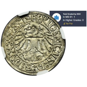 Silesia, Duchy of Liegnitz-Brieg-Wohlau, Friedrich II, Grochen Liegnitz undated - RARE - NGC MS61