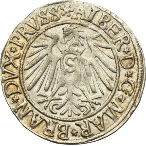 Duchy of Prussia, Albert Hohenzollern, Groschen Königsberg 1540 - PRVSS