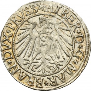 Duchy of Prussia, Albert Hohenzollern, Groschen Königsberg 1540 - PRVSS
