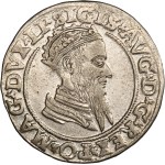 Zobacz podobne