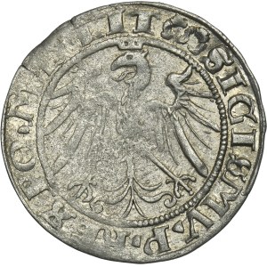 Sigismund I the Old, Groschen Vilnius 1536 - LIT/LITVA, letter F - February - RARE