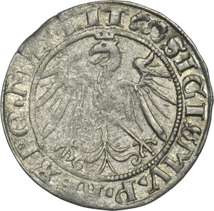 Sigismund I the Old, Groschen Vilnius 1536 - LIT/LITVA, letter F - February - RARE