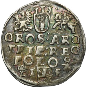 Zygmunt III Waza, Trojak Wschowa 1597