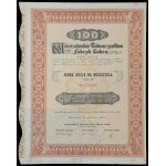 Warszawskie Towarzystwo Fabryk Cukru S.A., 100 zł i 50 x 100 zł 1937 - zestaw 2 szt.