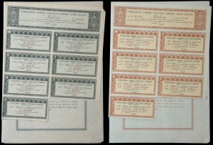 Tomaszowska Fabryka Sztucznego Jedwabiu S.A., 120 zł i 5 x 120 zł - zestaw 2 szt.