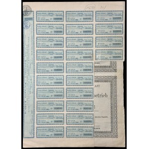 Śląskie Kopalnie i Cynkownie S.A., 100 zł 1924, uprzywilejowana + dokument