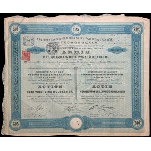 Towarzystwo Kopalń i Zakładów Hutniczych Sosnowieckich S.A., 125 rubli 1890