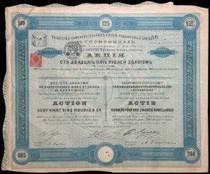 Towarzystwo Kopalń i Zakładów Hutniczych Sosnowieckich S.A., 125 rubli 1890