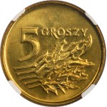 Zobacz podobne