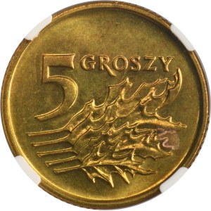 5 groszy 1993 - NGC MS66