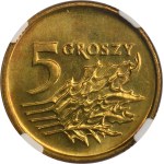 Zobacz podobne