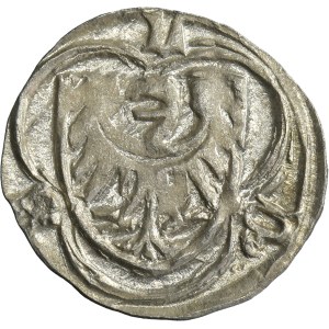 Śląsk, Księstwo Legnicko-Brzeskie, Ludwik II Brzeski, Halerz Brzeg - RZADKI