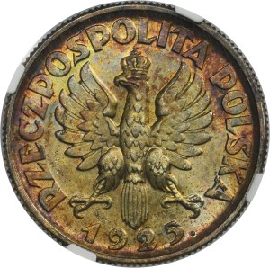 Kobieta i kłosy, 2 złote Londyn 1925 - NGC MS62 - kropka po dacie