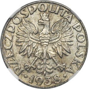 Generalna Gubernia, 50 groszy 1938 - NGC MS61 - ŻELAZO