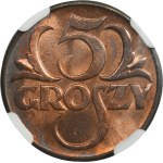 Zobacz podobne