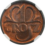 Zobacz podobne