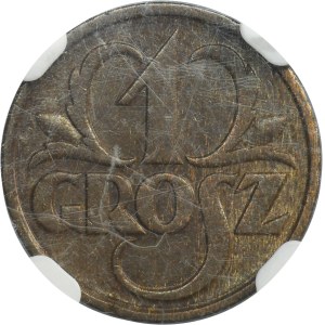 1 grosz 1930 - NGC MS63 BN