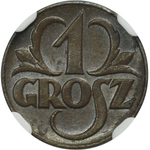 1 grosz 1923 - NGC MS64 BN
