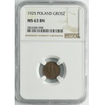 1 grosz 1925 - NGC MS63 BN