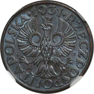 1 penny 1931 - NGC MS65 BN
