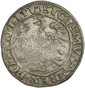 Sigismund I the Old, Groschen Vilnius 1536 - LITV/LITV - letter I