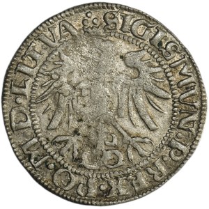 Sigismund I the Old, Groschen Vilnius 1536 - LITV/LITV - letter I