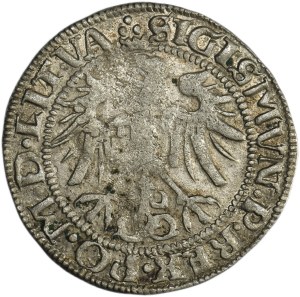 Sigismund I the Old, Groschen Vilnius 1536 - LITV/LITV - letter I