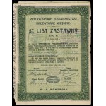 TKM Piotrków, 5% list zastawny, 100 zł i 250 zł 1925 - zestaw 2 szt.