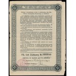 TKM Piotrków, 5% list zastawny, 100 zł i 250 zł 1925 - zestaw 2 szt.