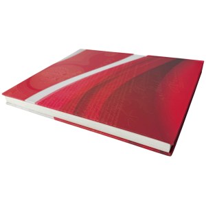 L. Koziorowski, 100 papers for the 100th anniversary of independence