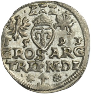 Sigismund III Vasa, 3 Groschen Vilnius 1593