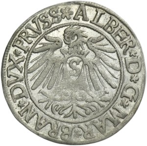 Duchy of Prussia, Albrecht Hohenzollern, Groschen Königsberg 1538 - PRVSS