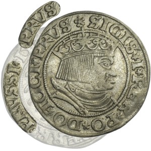 Sigismund I the Old, Groschen Thorn 1532 - PRVS/PRVSSI - RARE