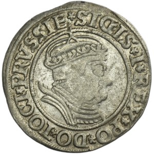 Zygmunt I Stary, Grosz Toruń 1535 - PRVSSIE/PRVSSIE - RZADKI