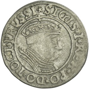 Sigismund I the Old, Groschen Thorn 1534 - PRVSSI/PRVSSIE